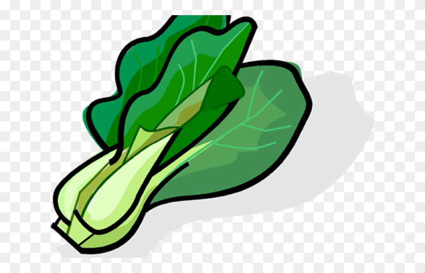 640x480 Lettuce Clipart Sawi - Lettuce Leaf Clipart