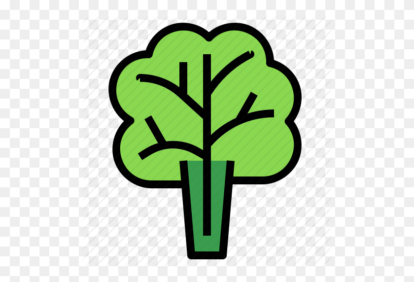 512x512 Lettuce Icon - Lettuce Leaf Clipart