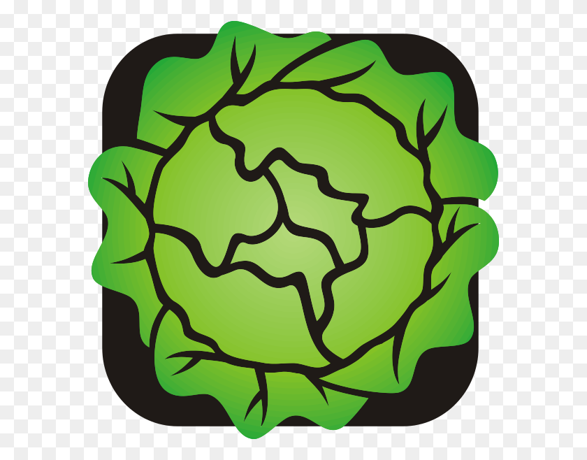 588x598 Lettuce Png Clip Arts For Web - Lettuce Leaf Clipart