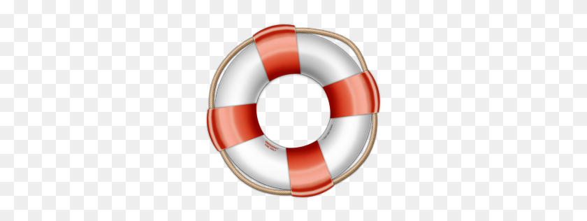 256x256 Life Saver Icon Lifesaver Iconset Graphicpeel - Lifesaver PNG