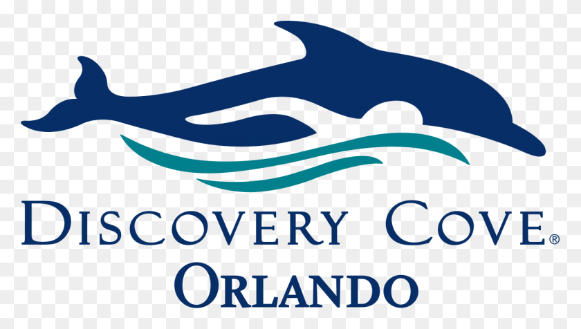 1200x641 Жизнь Со Скоростями Discovery Cove, Флорида - Люди, Плавающие Клипарт