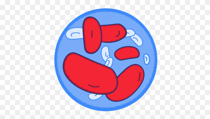 557x416 Lifesouth Community Blood Centers - Blood Cell Clipart