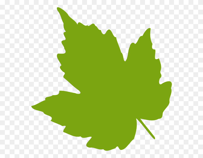 582x596 Light Green Leaf Png, Clip Art For Web - Green Leaves PNG