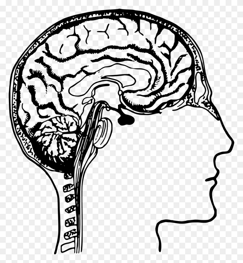 939x1024 Bombilla Clipart Cerebro Humano, Bombilla Cerebro Humano Transparente - Cerebro Clipart Transparente