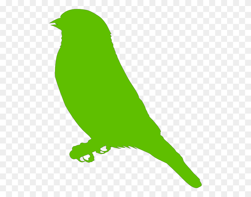 510x599 Pájaro Verde Png