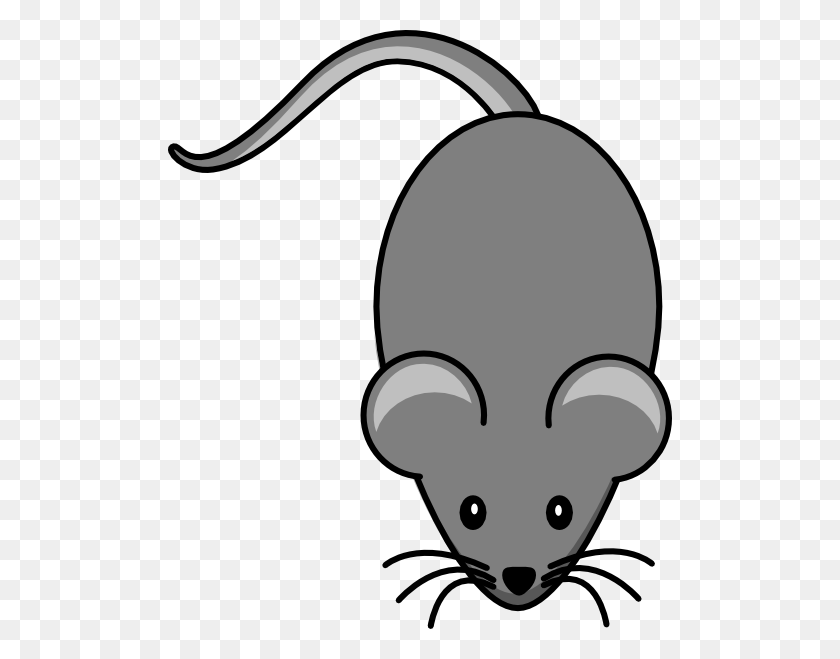 504x599 Lighter Grey Mouse Png Clip Arts For Web - Mouse Clipart Black And White