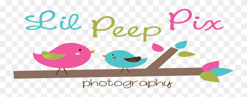 750x271 Lil Peep Pix Competitors, Revenue And Employees - Lil Peep PNG