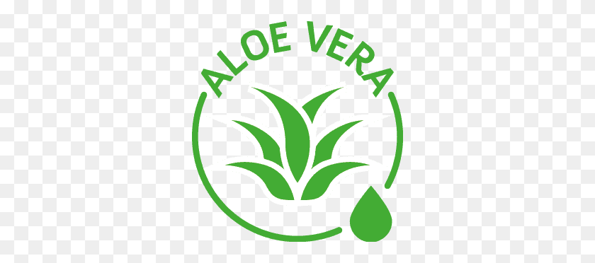 298x312 Lille Healthcare Aloe Vera Verde - Imágenes Prediseñadas De Aloe Vera