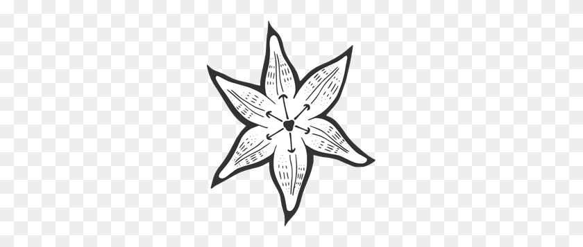 243x297 Lilly Flower Outline Clipart Png For Web - Flower Outline PNG