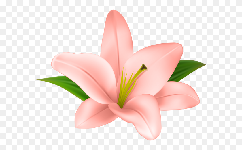 600x459 Lilly Flower Transparent Clip Art Aa Flores - Lily Flower Clipart
