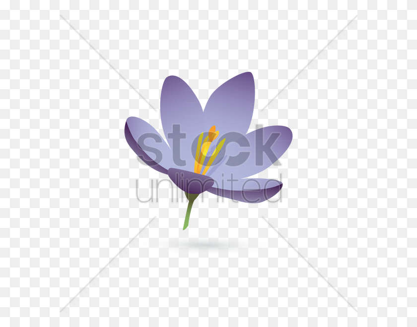 600x600 Цветок Лилии Векторное Изображение - Цветок Лилии Png
