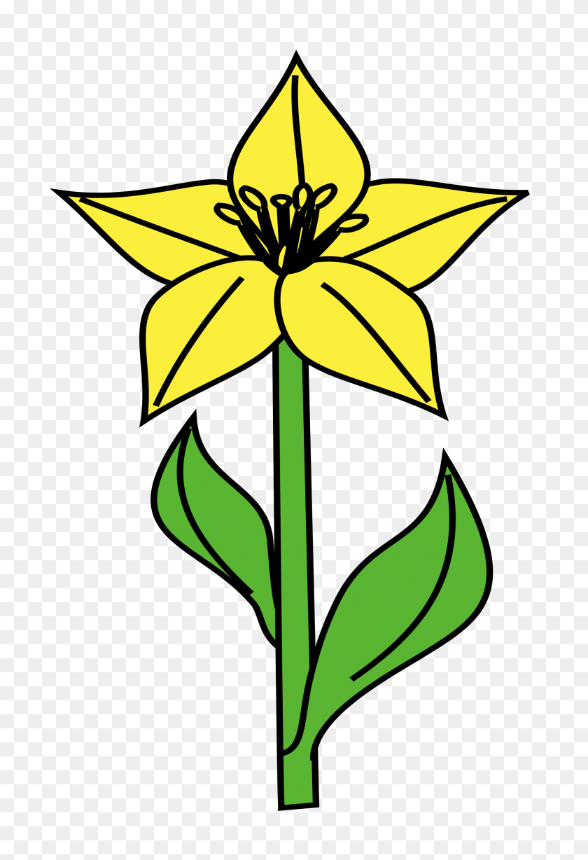 2000x2996 Lily Icon Yellow - Lily PNG