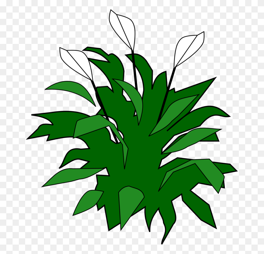 675x750 Lily Leaf Flower Computer Icons Download - Lily Flower PNG
