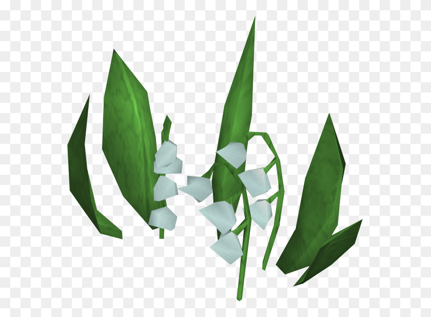577x557 Lily Of The Valley Transparent Png - Lily PNG
