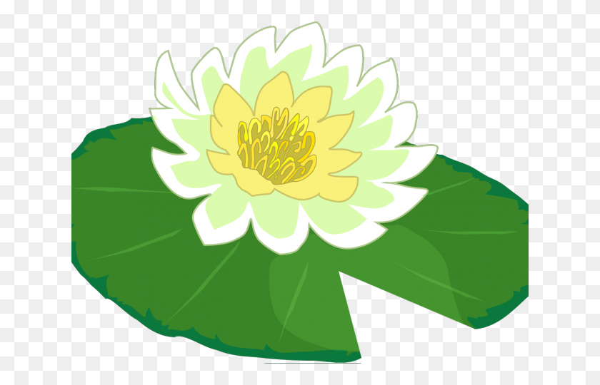 640x480 Lily Pad Clipart Pond - Lily Pad Clipart Blanco Y Negro