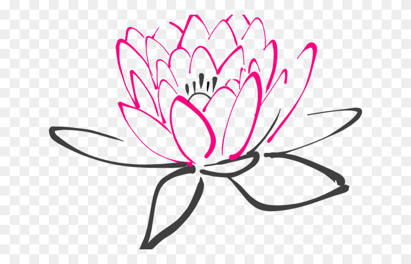 640x480 Lily Pad Clipart Vector - Lily Pad Flower Clipart