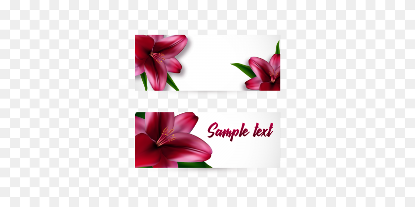 360x360 Lily Templates, Design Templates For Free Download - Lily Flower PNG