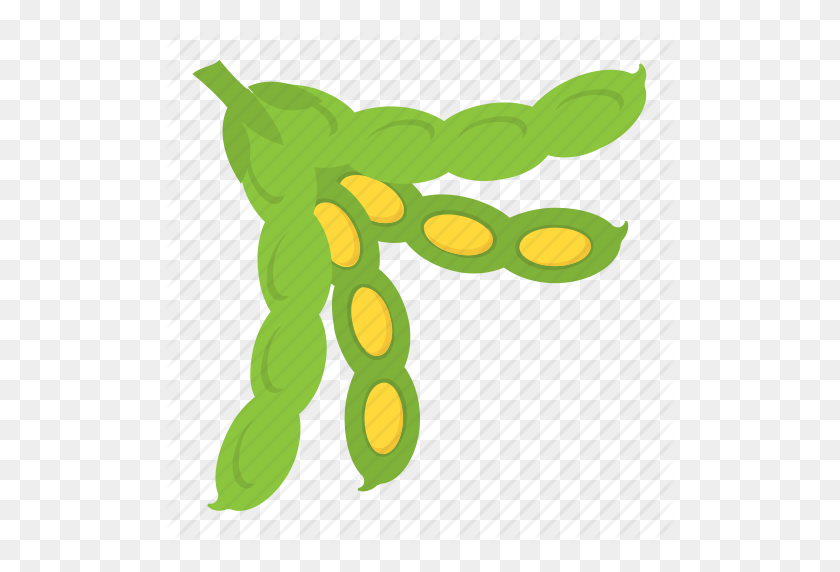 Загрузите эту потрясающую картинку Лимская Фасоль Клипарт Зеленая Еда - Кли...