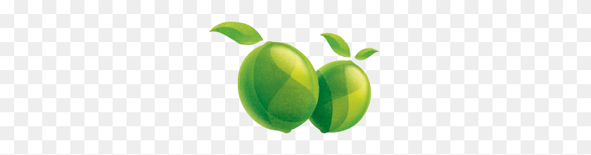 247x161 Lime - Limes PNG