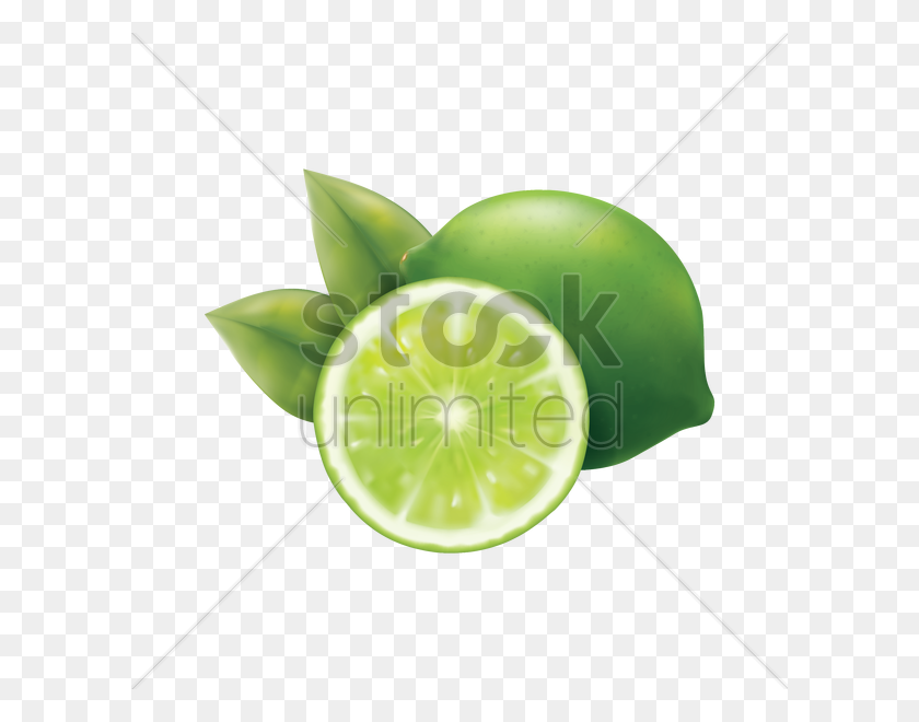 600x600 Lime Vector Image - Limes PNG