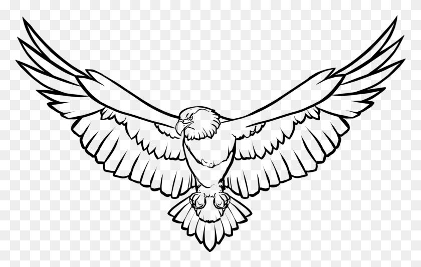1235x750 Line Art Drawing Bald Eagle Eagle Feather Law - Prey Clipart