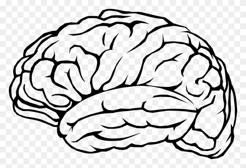 1140x750 Штриховой Рисунок Карандашом Человеческого Мозга - Карандаш И Яблоко Клипарт