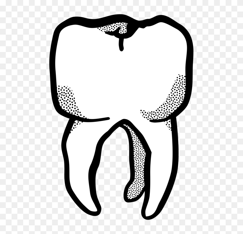 703x750 Line Art Human Tooth Drawing Computer Icons - Tooth Clipart