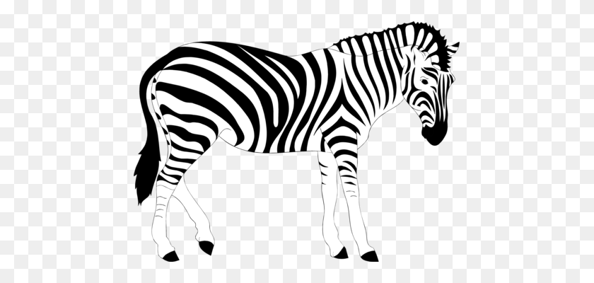 461x340 Line Art Zebra Black And White - Realistic Animal Clipart Black And White
