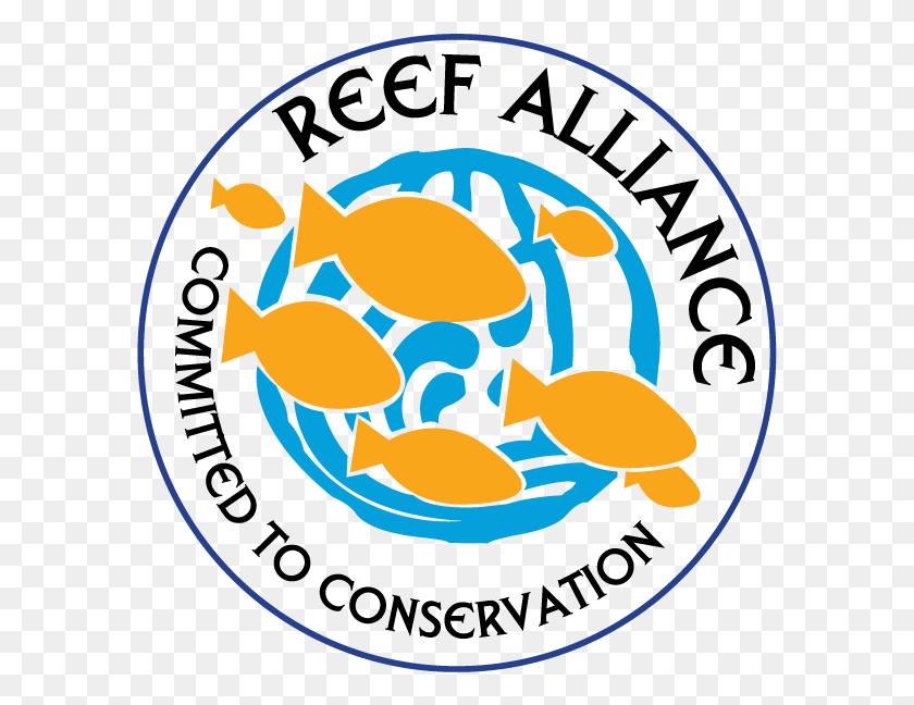 589x588 Línea De Imágenes Prediseñadas De La Alianza De Arrecifes De Coral Png Transparente Png Gratis - Reef Clipart