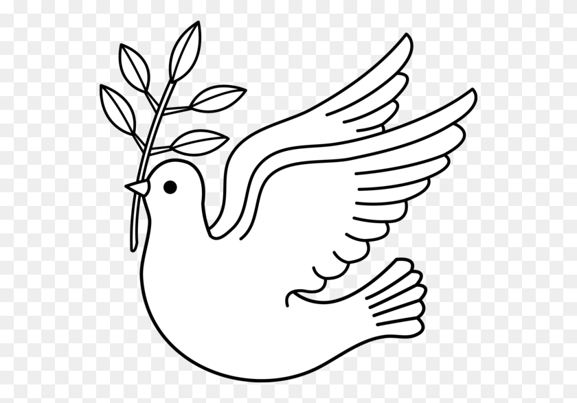 550x527 Line Drawings Of Doves - Pear Clipart Black And White
