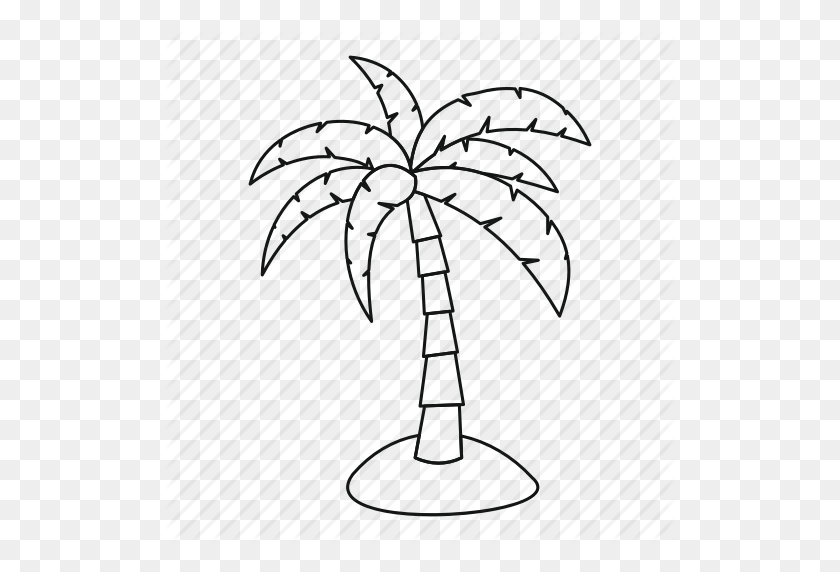 Palm Tree Drawing Outline