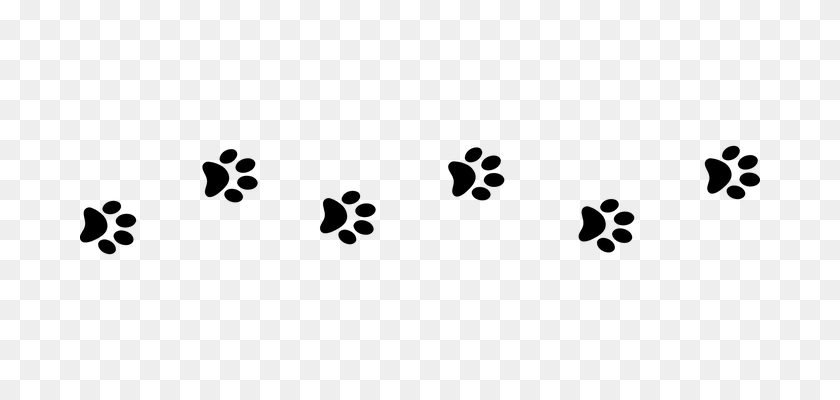 680x340 Line Of Paw Prints Transparent Png - Paw Print PNG