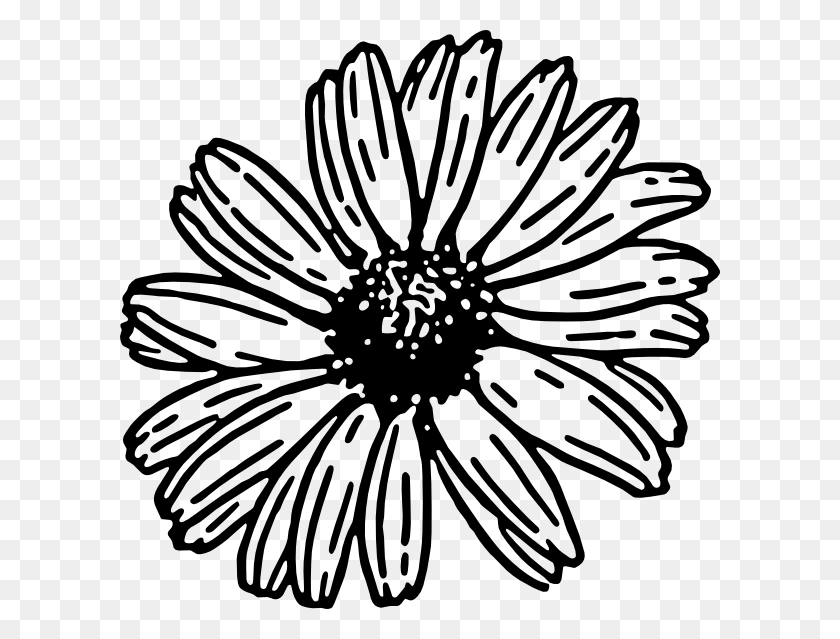 600x579 Line Png Images, Icon, Cliparts - Daisy Black And White Clipart