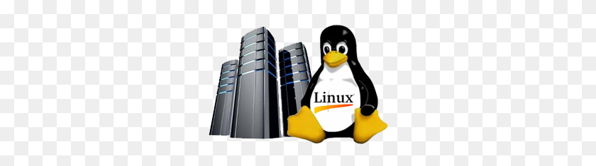 256x175 Png Хостинг Linux