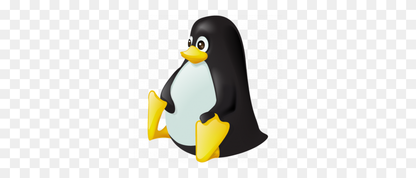 300x300 Linux Png Picture Web Icons Png - Linux PNG