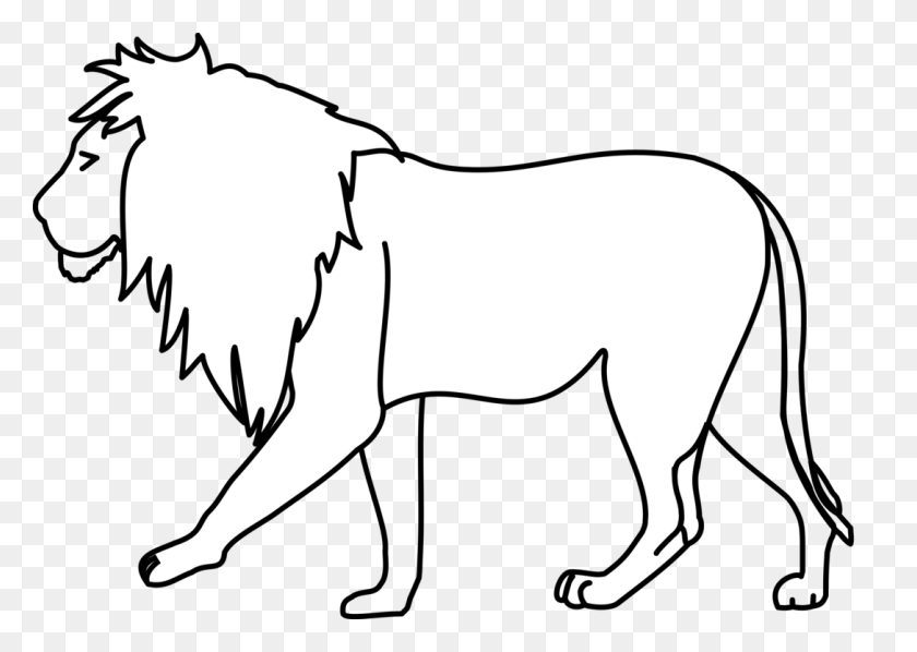 1087x750 Lion Drawing Line Art Pencil - Black And White Clipart Lion