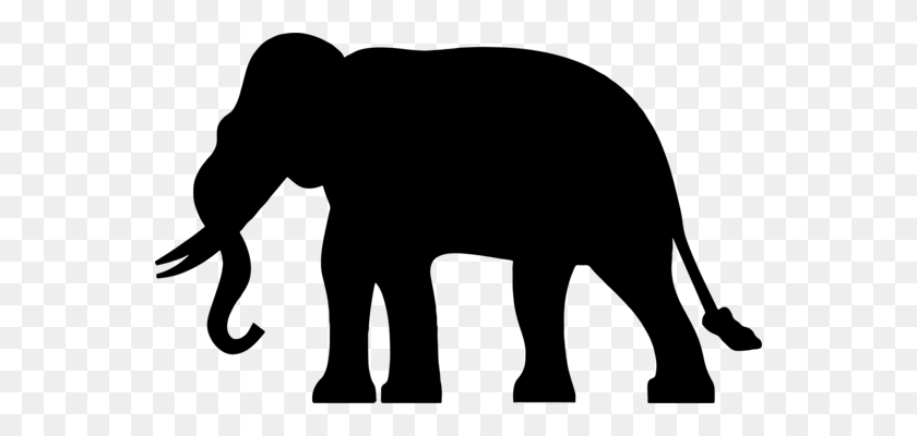 556x340 Лев Elephantidae Джунгли Остроумие Компьютерные Иконки - Лев Силуэт Png