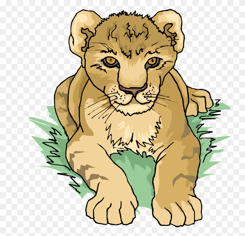 748x750 Lion Tiger Cougar Clip Art - Free Cougar Clipart