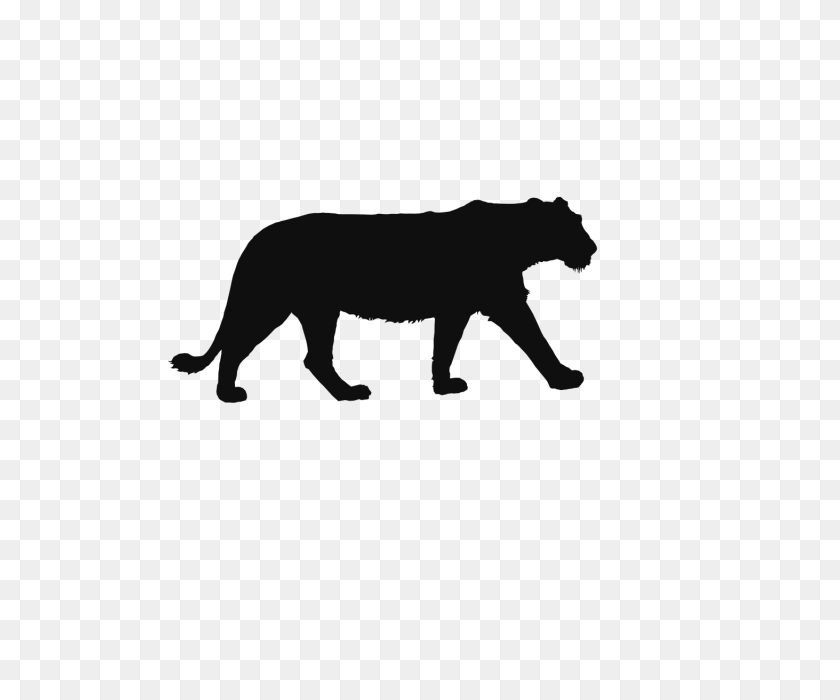 640x640 Лев, Тигр, Дикие Животные, Фон, Лев, Вырезка Из Бумаги, Черный Png - Белый Тигр Png