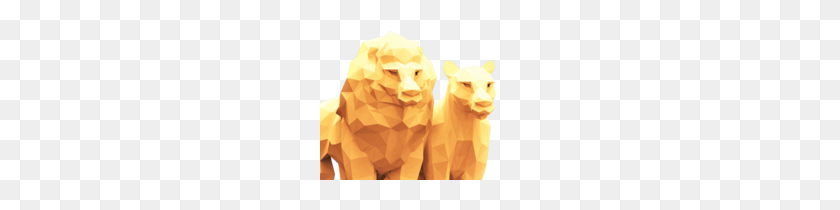 200x150 Lioness Designs On Dribbble - Lioness PNG