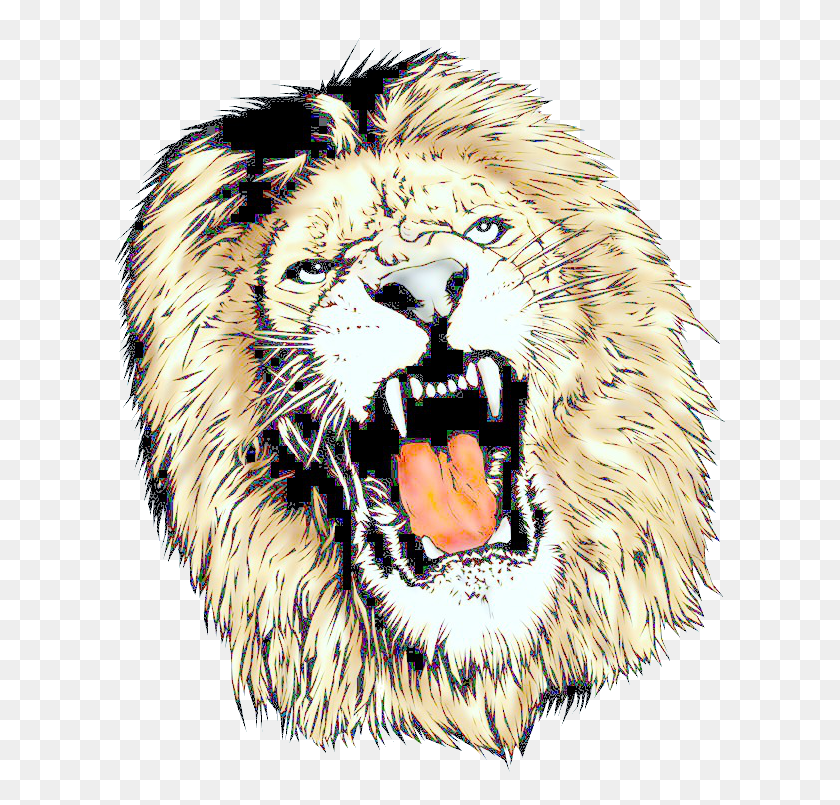 617x745 Lions Head Png Images - Lion Roar PNG