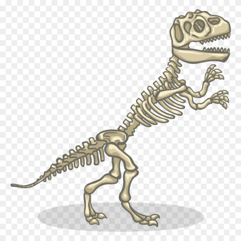 1024x1024 Lista De Sinónimos Y Antónimos De La Palabra Esqueleto De Dinosaurio - Huesos De Dinosaurio Png