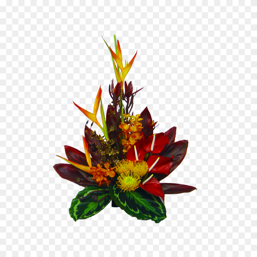 1200x1200 Lista De Sinónimos Y Antónimos De La Palabra Flores Hawaianas Entregadas - Flores Tropicales Png
