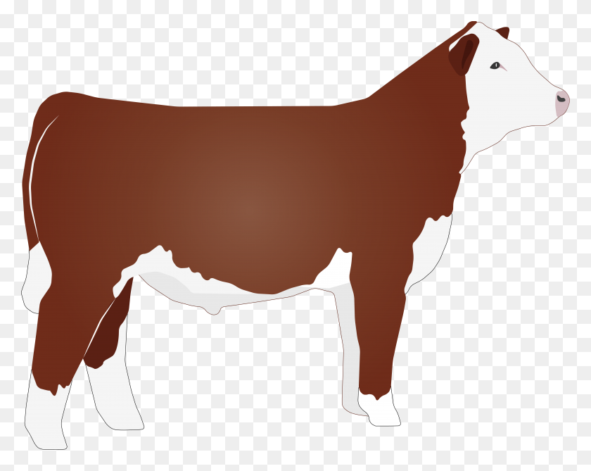 6573x5137 Lista De Sinónimos Y Antónimos De La Palabra Hereford Cow Clipart - Beef Cow Clipart