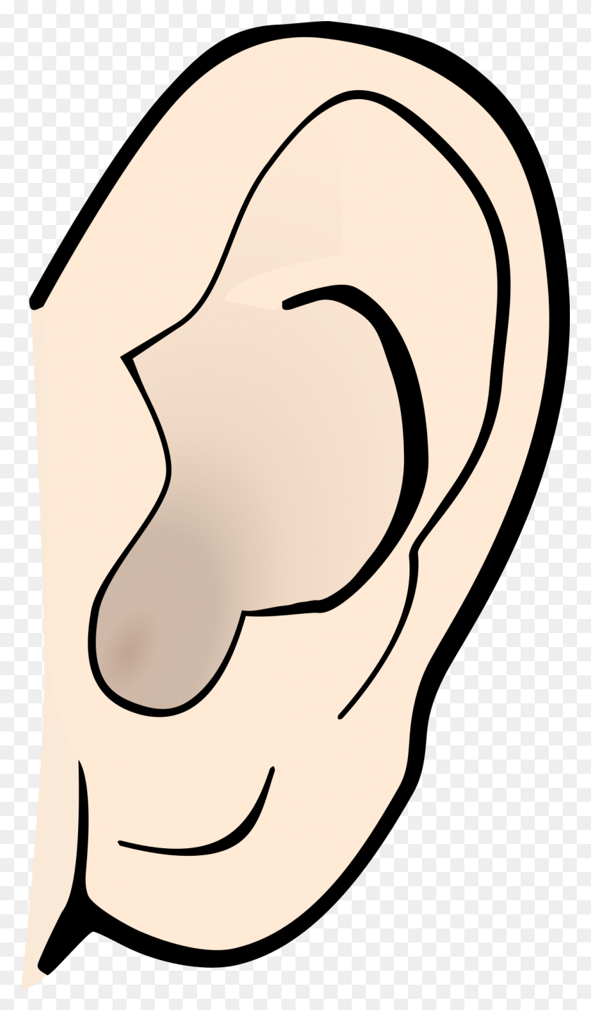 1088x1920 Listening Ear Clip Art - Hearing Loss Clipart