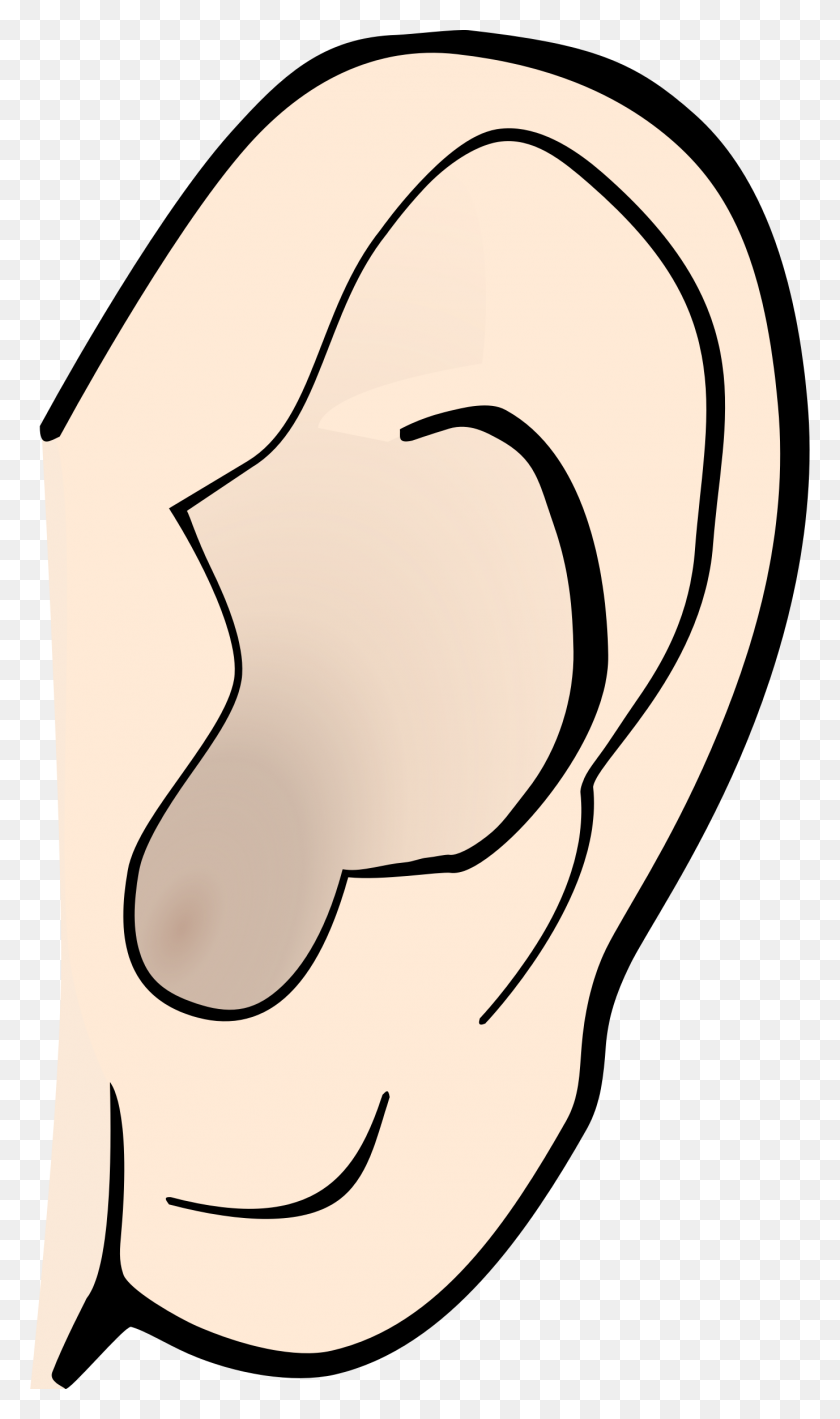 1377x2400 Listening Ear Clipart Clip Art Of A Strong Ear Mascot Cartoon - Flexing Arm Clipart