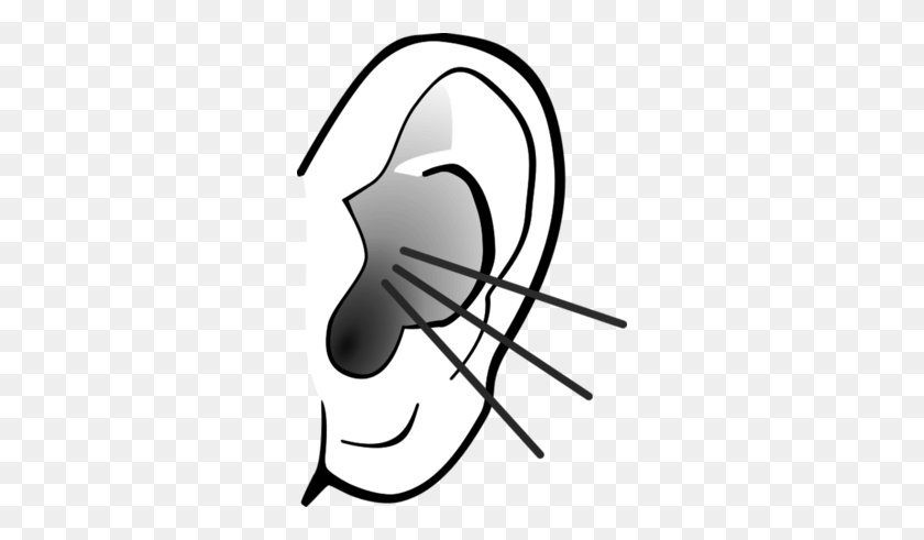 300x431 Listening Ears Cliparts - Listen Clipart Black And White