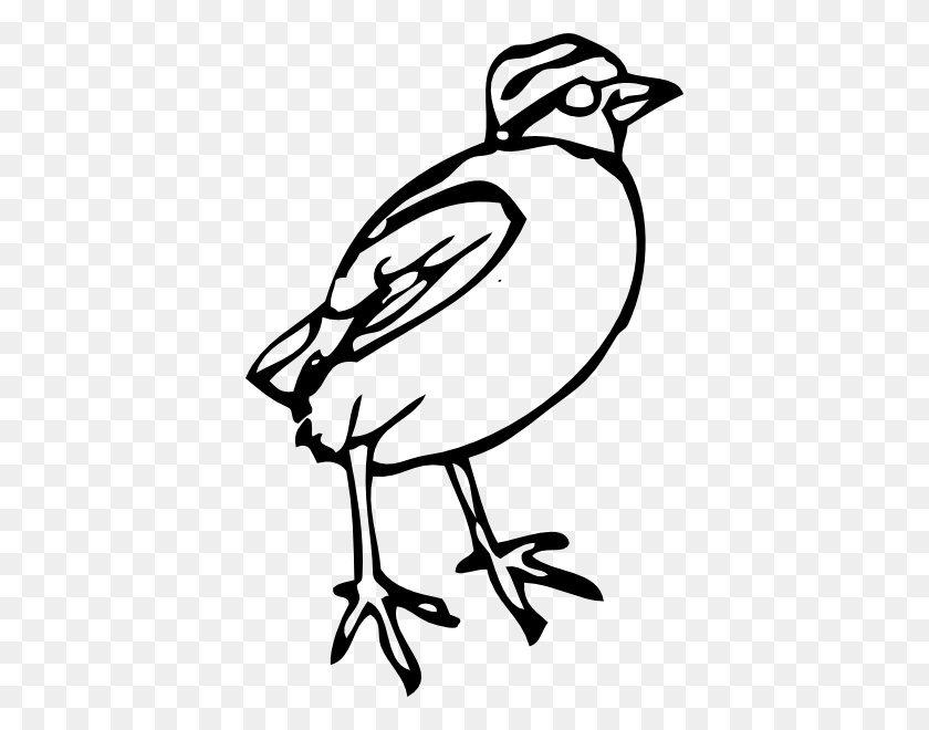 396x600 Маленькая Птичка Картинки Бесплатный Вектор - Шорты Клипарт Черно-Белые