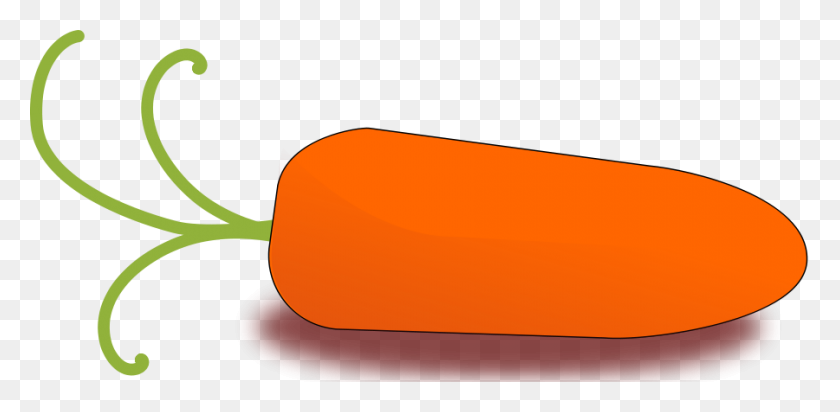 900x407 Little Carrot Png Large Size - Carrot PNG