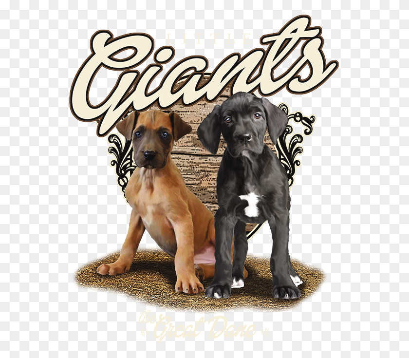 675x675 Little Giants, The Great Dane The Wild Side - Great Dane PNG